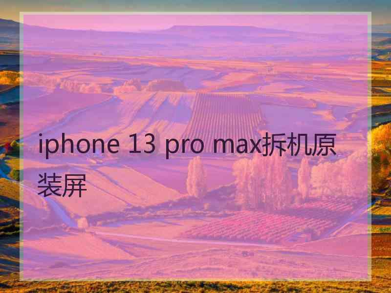 iphone 13 pro max拆机原装屏