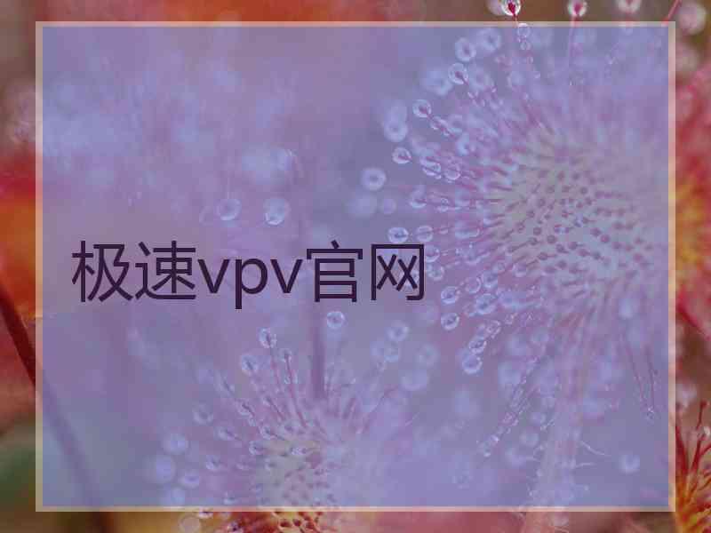 极速vpv官网