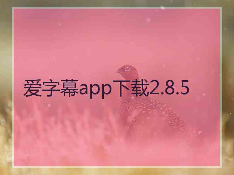 爱字幕app下载2.8.5