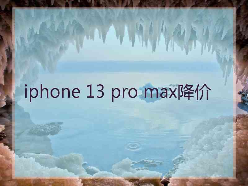 iphone 13 pro max降价