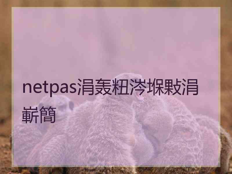 netpas涓轰粈涔堢敤涓嶄簡