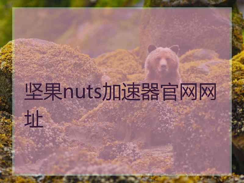 坚果nuts加速器官网网址