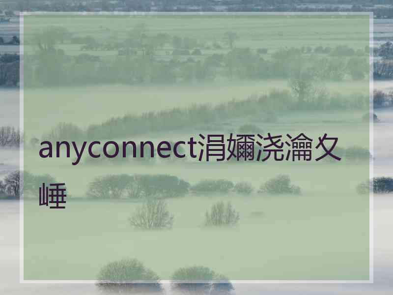 anyconnect涓嬭浇瀹夊崜