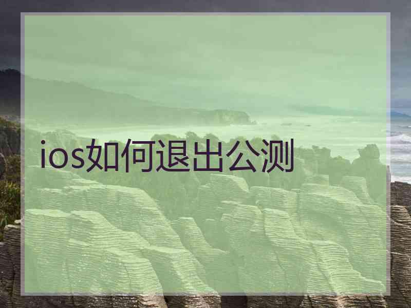 ios如何退出公测