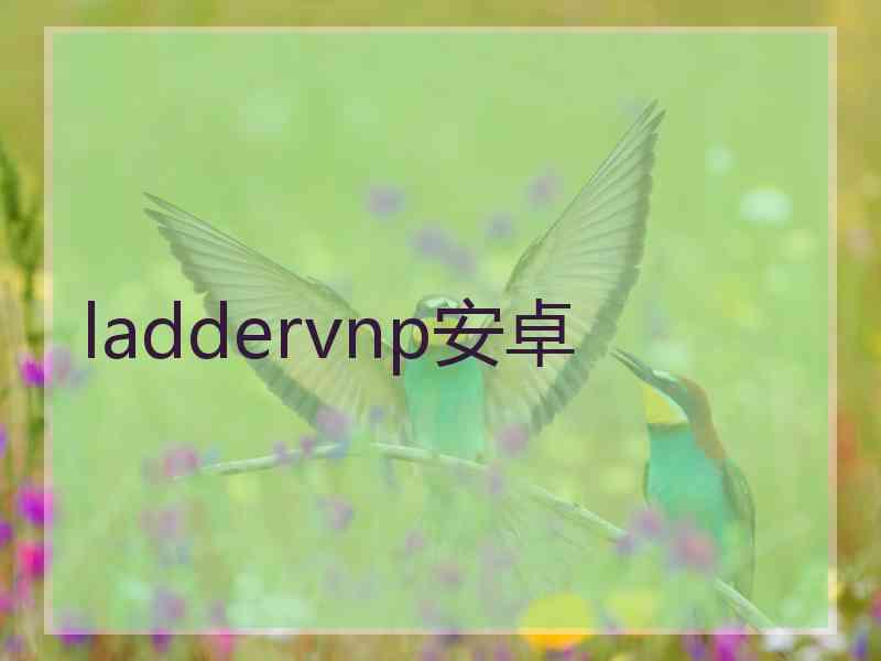 laddervnp安卓