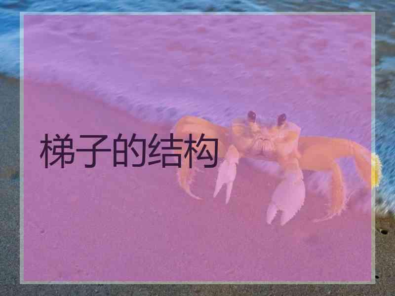 梯子的结构