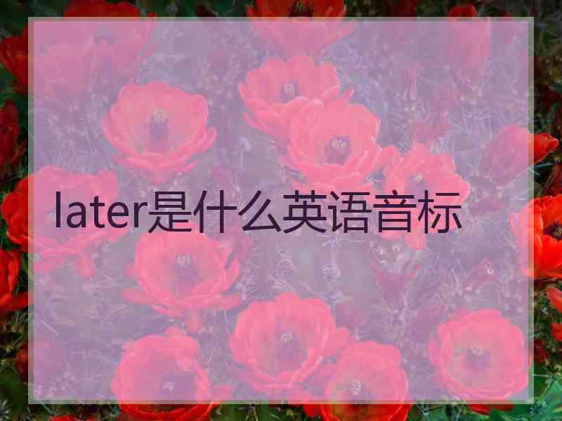 later是什么英语音标