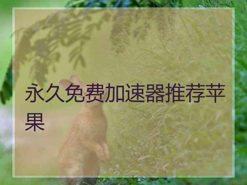 永久免费加速器推荐苹果