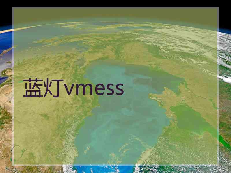 蓝灯vmess