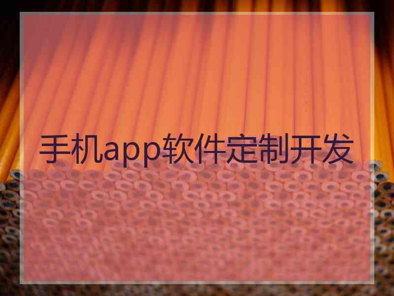 手机app软件定制开发