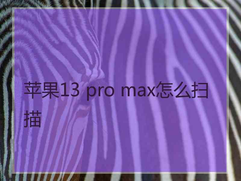 苹果13 pro max怎么扫描