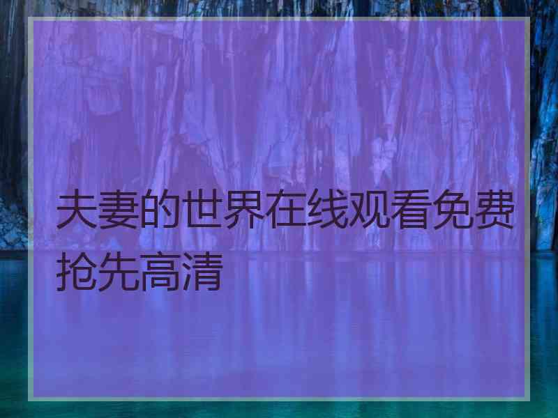 夫妻的世界在线观看免费抢先高清