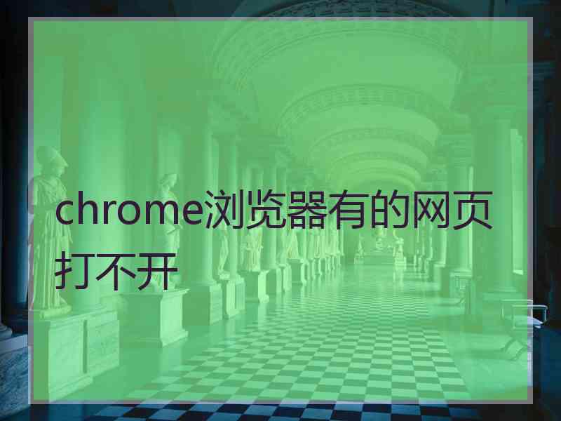 chrome浏览器有的网页打不开