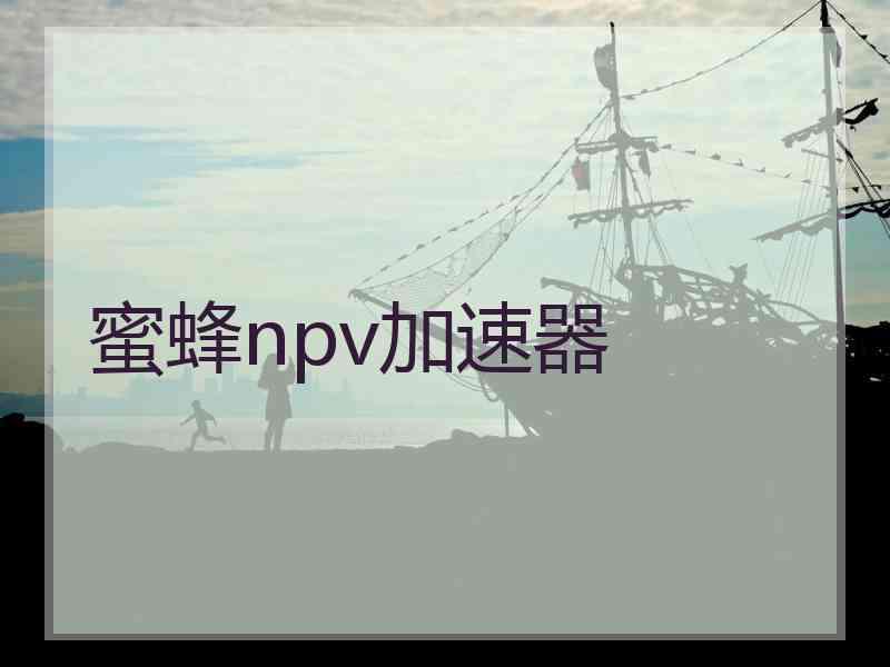 蜜蜂npv加速器