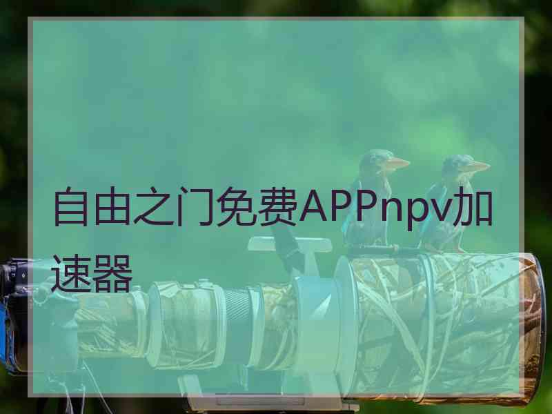 自由之门免费APPnpv加速器