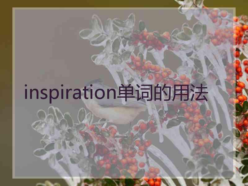 inspiration单词的用法