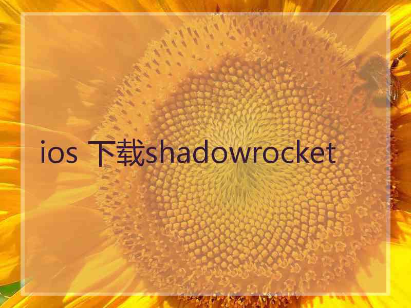 ios 下载shadowrocket