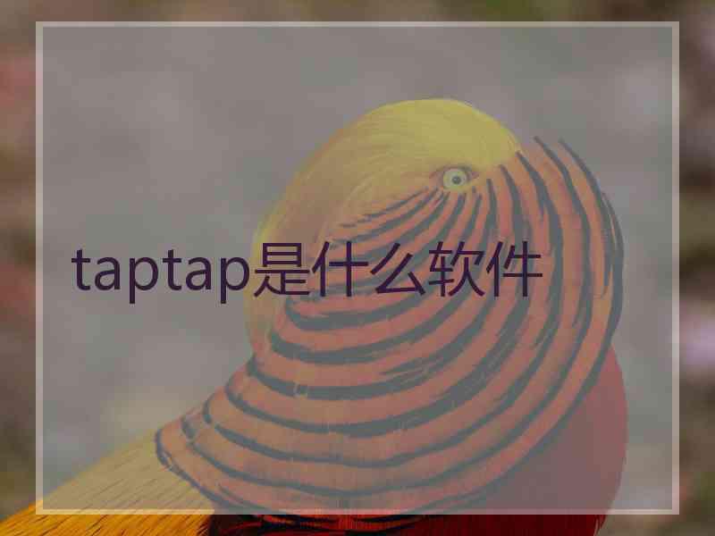 taptap是什么软件