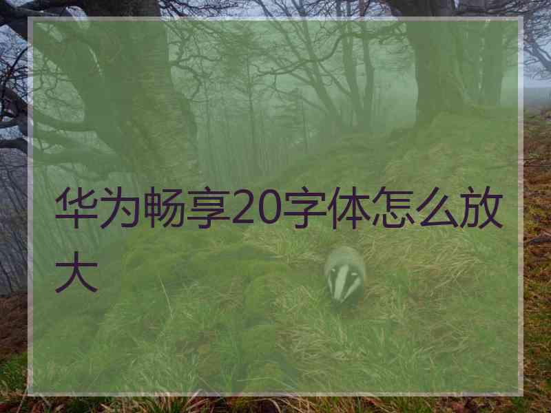 华为畅享20字体怎么放大