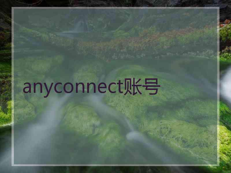 anyconnect账号