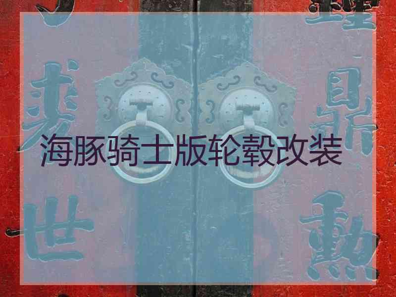 海豚骑士版轮毂改装