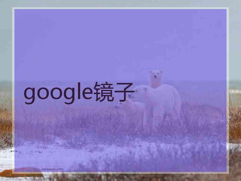 google镜子