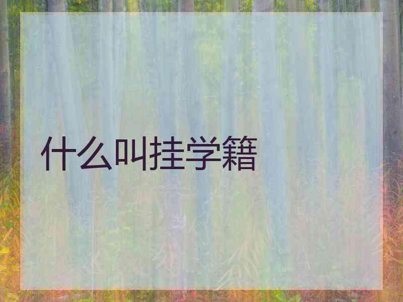 什么叫挂学籍