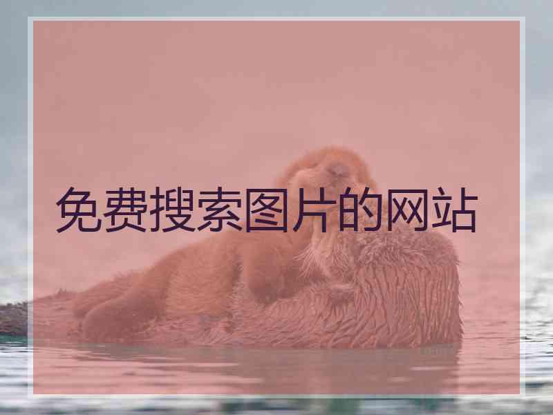 免费搜索图片的网站