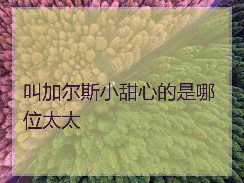 叫加尔斯小甜心的是哪位太太