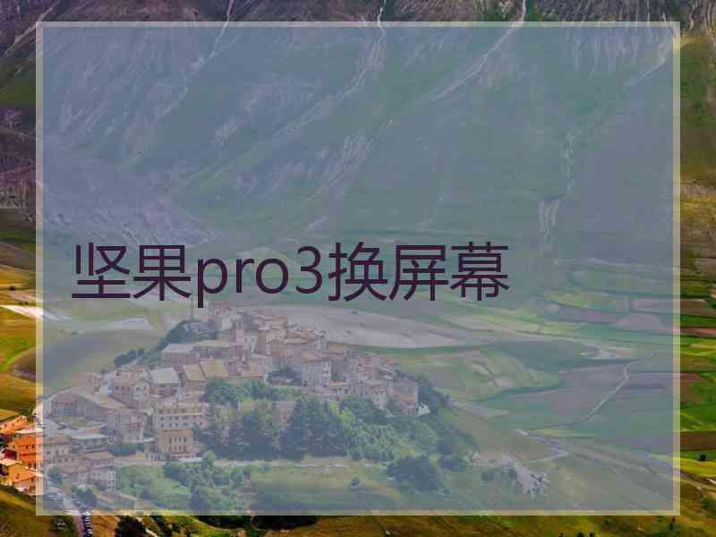 坚果pro3换屏幕