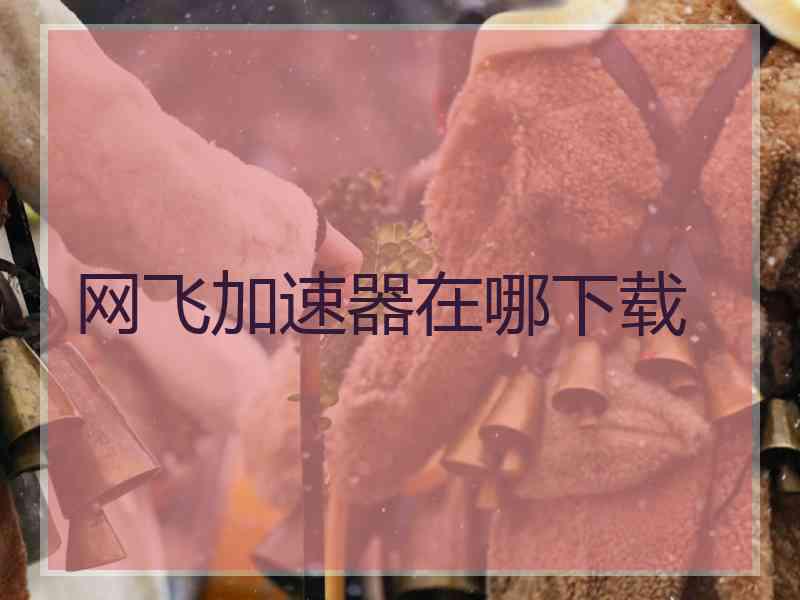 网飞加速器在哪下载