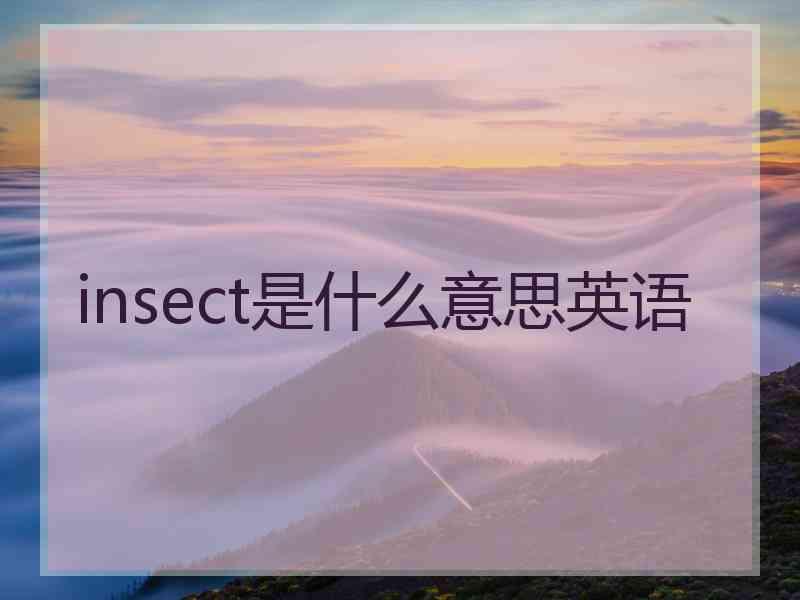 insect是什么意思英语