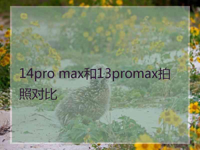 14pro max和13promax拍照对比