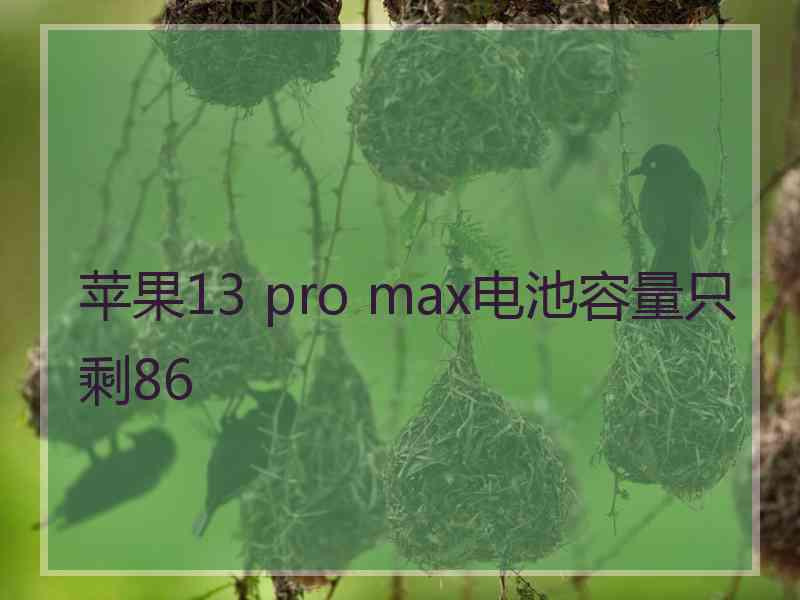 苹果13 pro max电池容量只剩86