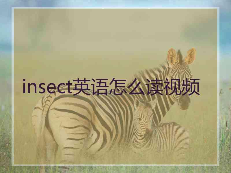 insect英语怎么读视频