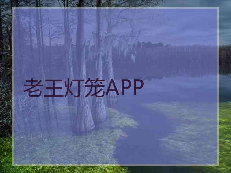 老王灯笼APP