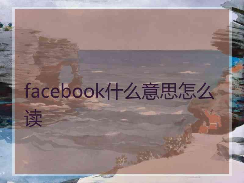 facebook什么意思怎么读