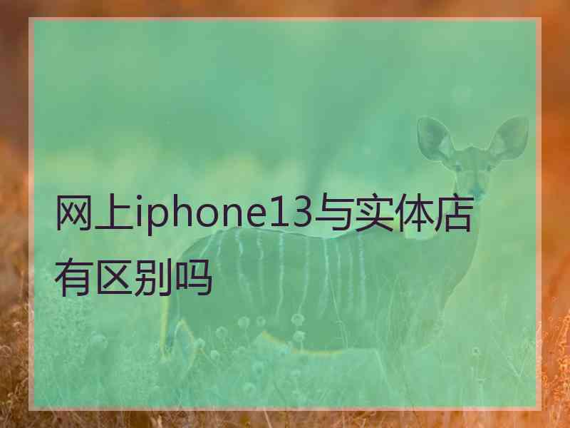 网上iphone13与实体店有区别吗