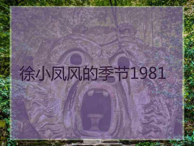 徐小凤风的季节1981