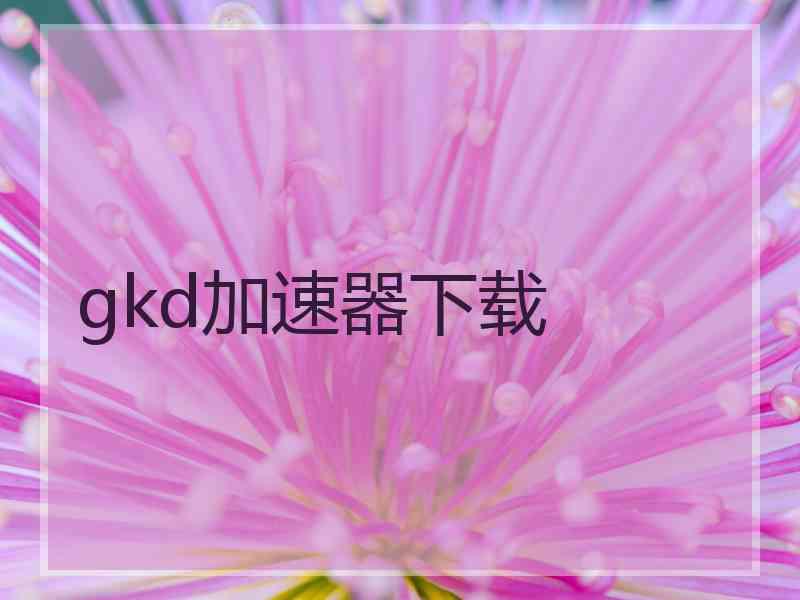 gkd加速器下载