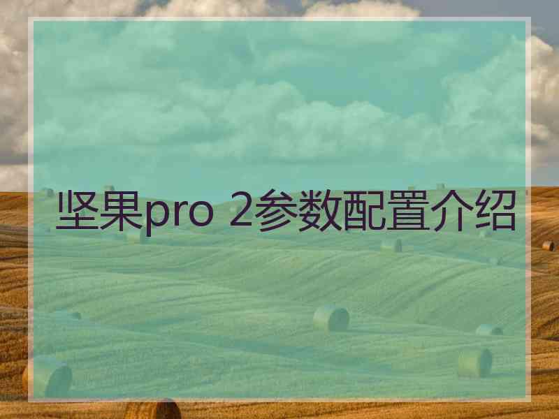 坚果pro 2参数配置介绍