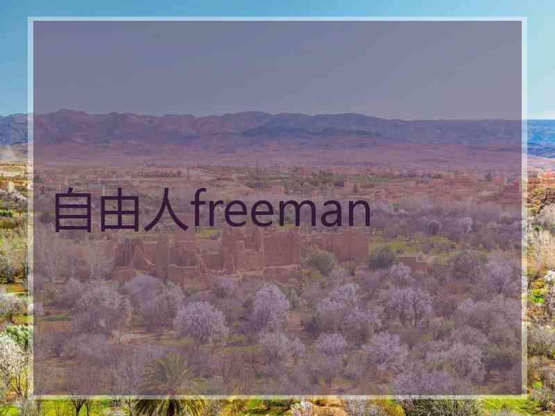 自由人freeman