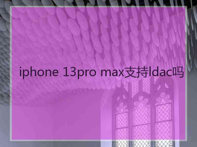 iphone 13pro max支持ldac吗