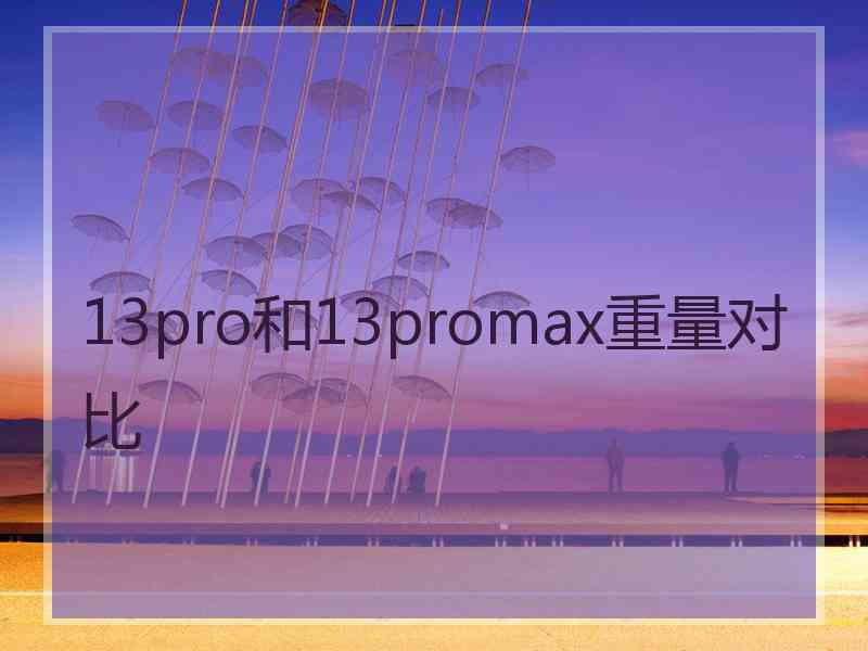 13pro和13promax重量对比