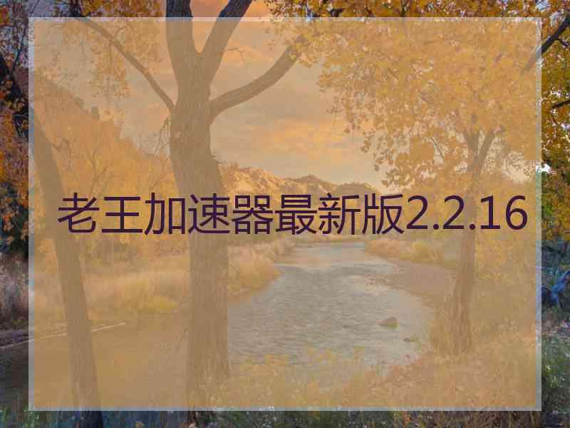 老王加速器最新版2.2.16