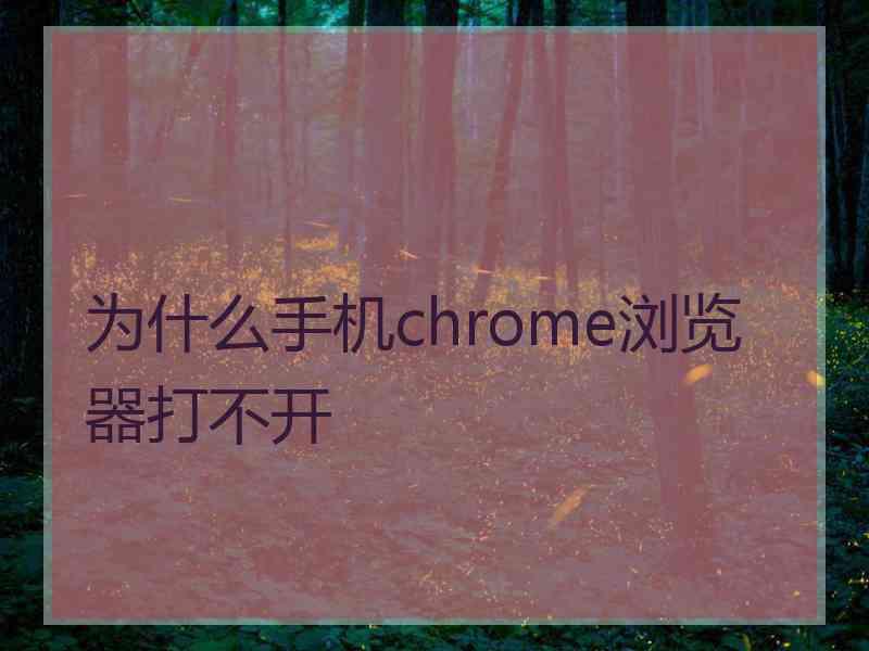 为什么手机chrome浏览器打不开