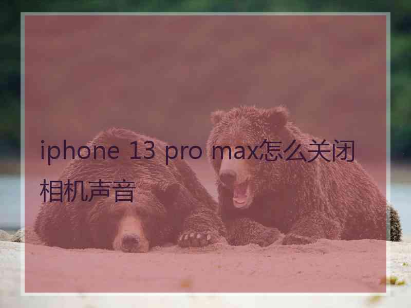 iphone 13 pro max怎么关闭相机声音