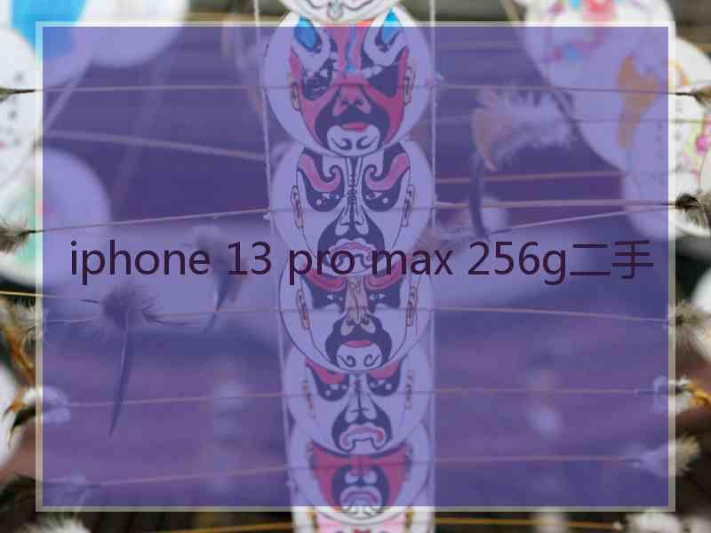 iphone 13 pro max 256g二手