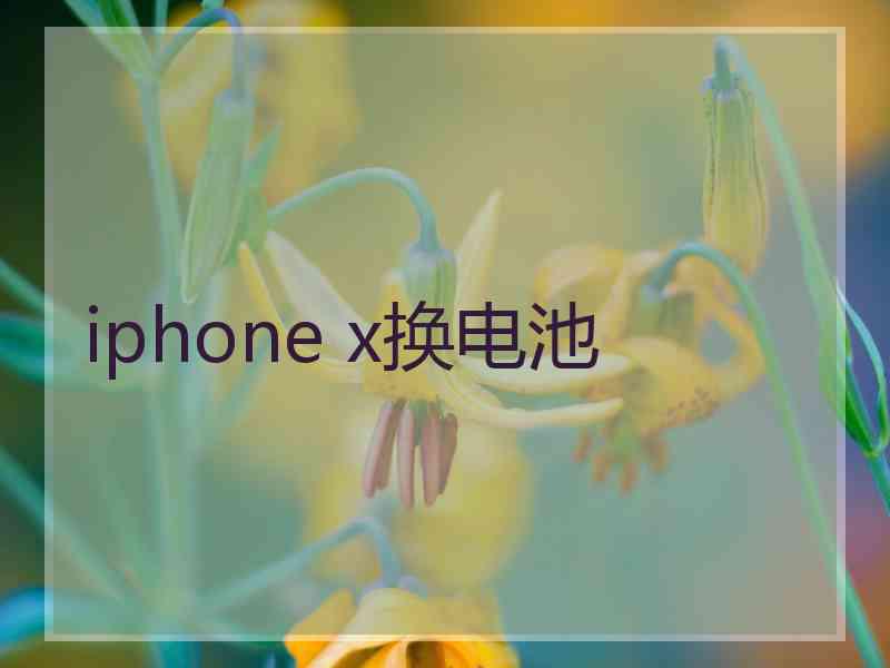 iphone x换电池