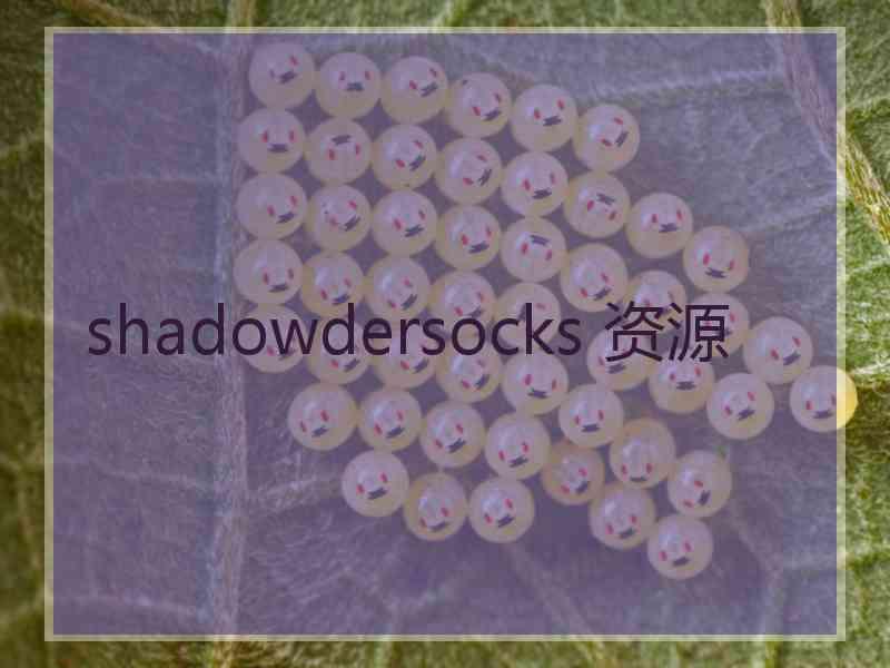 shadowdersocks 资源